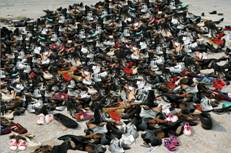 KidsCan estimate 7,000 shoes are needed for NZ kids